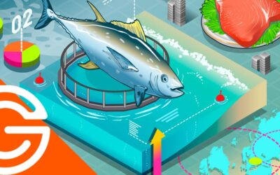 La gestión de la trazabilidad en los productos pesqueros: acuicultura y marisco