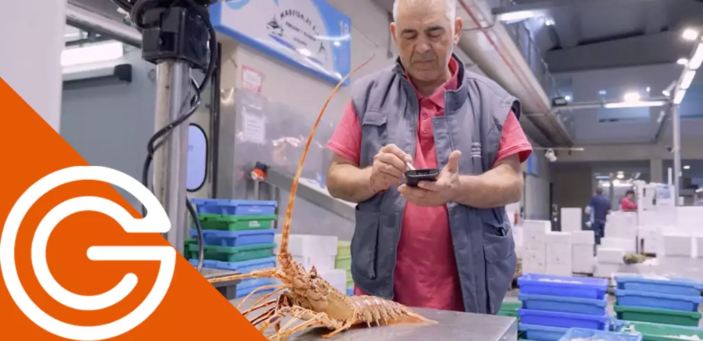 Importaciones automaticas TrazaWin