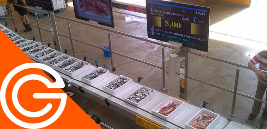 Los-retos-de-las-lonjas-de-pescado-de-primera-venta