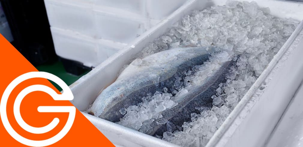 Maximizando-la-cadena-de-frio.-Mejores-practicas-para-mayoristas-de-pescado