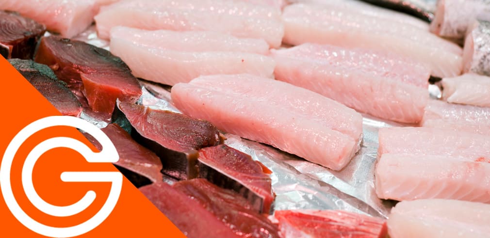 Pescados-Jaime-Galiana-logra-una-trazabilidad-integral-gracias-a-TrazaWin-y-a-Grupo-CIE