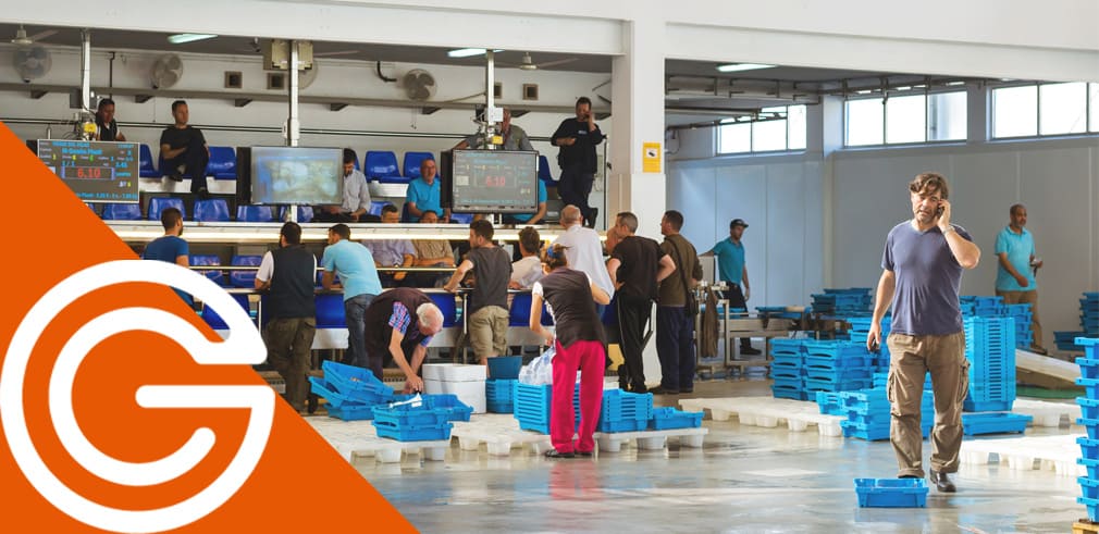Software-especializado-en-subastas-de-pescado-cie