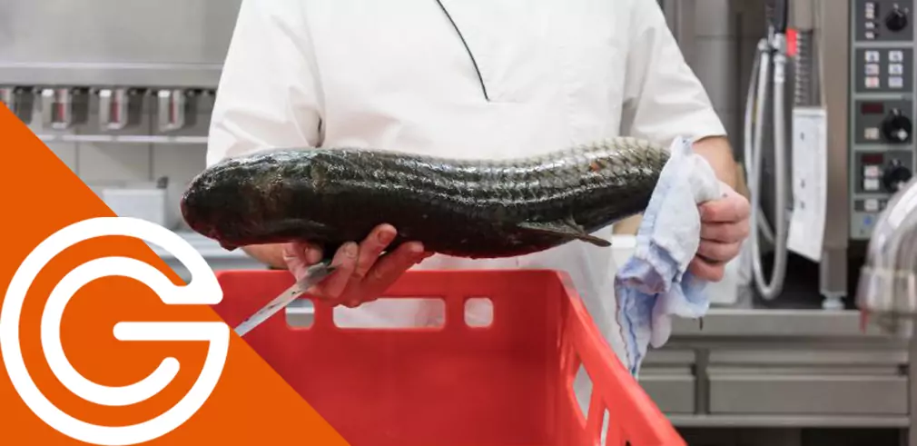 Venta de pescado a hosteleria. Cumplir con la normativa sanitaria y de etiquetado