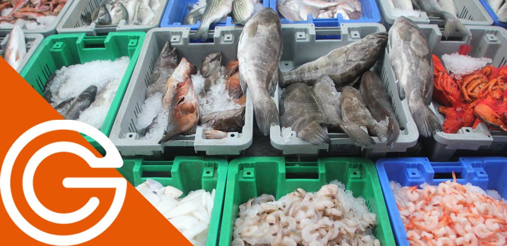 cofradias-de-pescado-en-la-actualidad