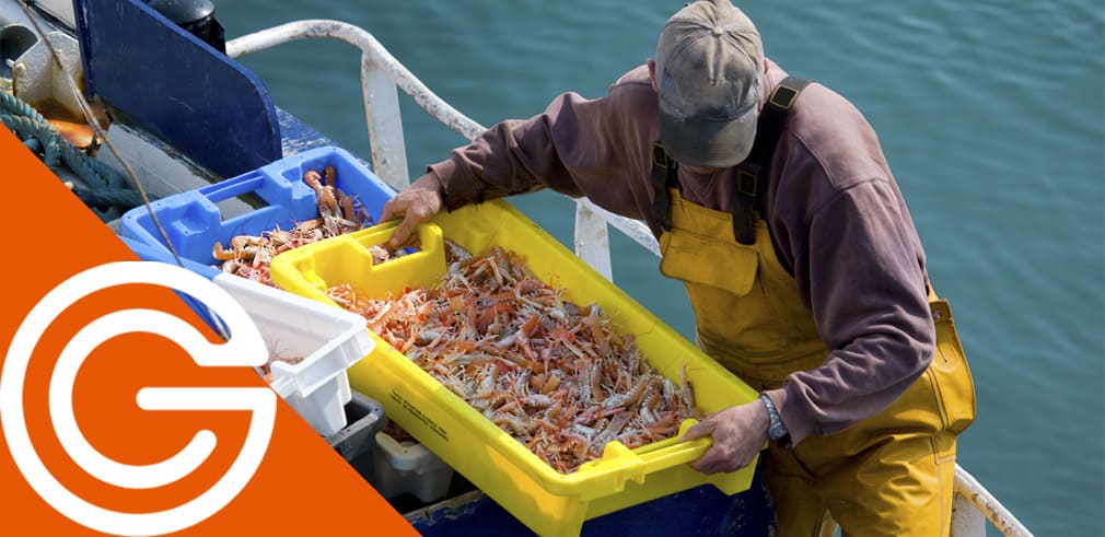 como-cotizan-los-trabajadores-del-mar