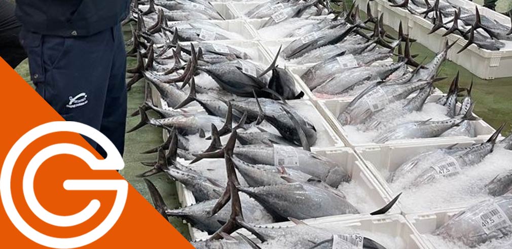 requisitos-para-comprar-en-una-lonja-de-pescado-de-segunda-venta