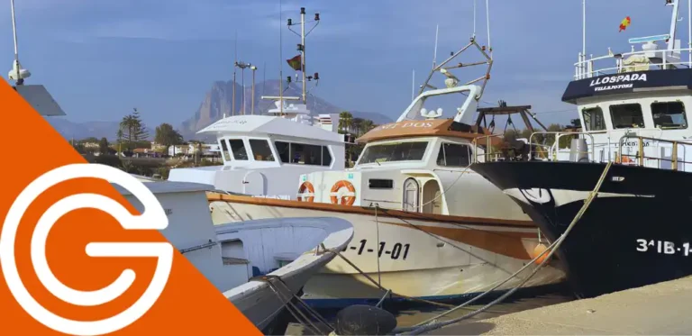 Lonjas Management Reglamento Control Pesca