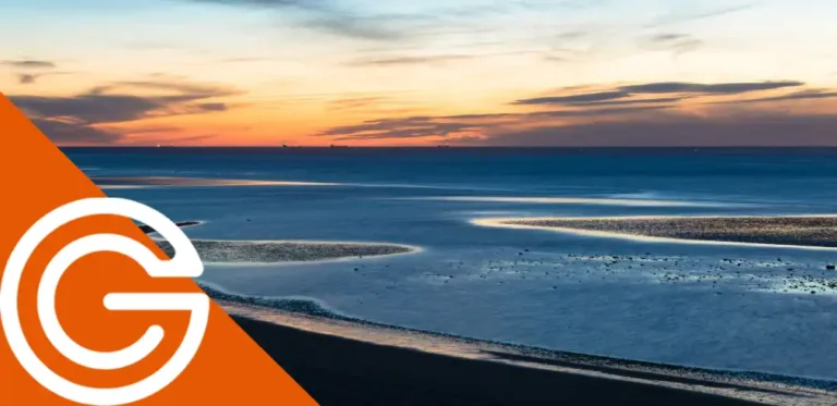 mar salada fish impulsa trazabilidad eficiencia con trazawin